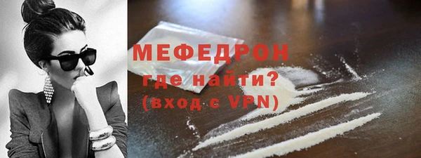 мдпв Инта