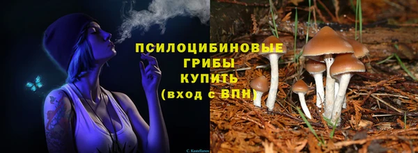 мет Алзамай